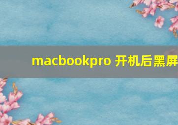 macbookpro 开机后黑屏